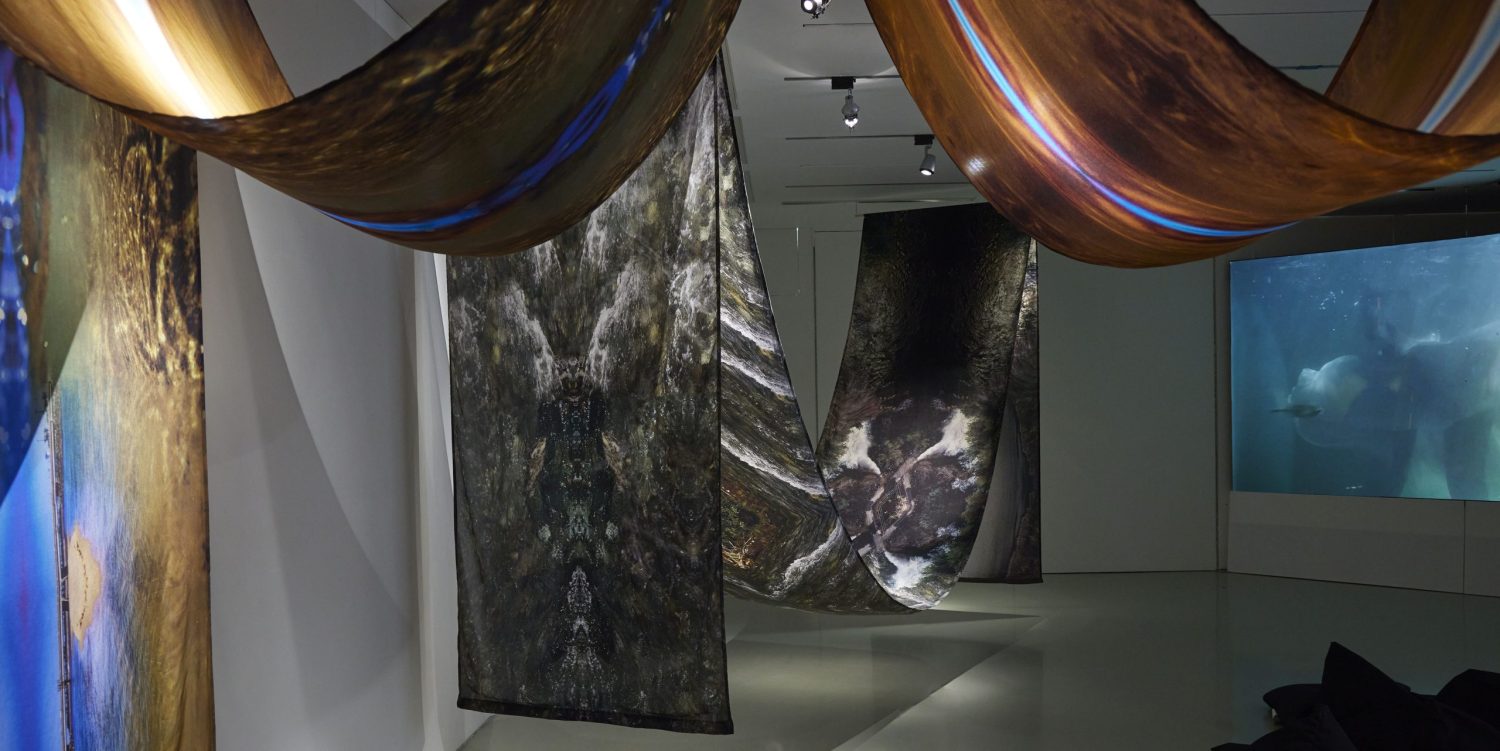 Carolina Caycedo, Installation view at Oriel Davies Gallery, Artes Mundi 10, 2023-24. Photo: Stuart Whipps Hafren and Llanidloes Community Choir Concert