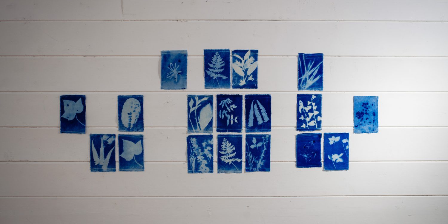 Blue monoprints of leaves and natural items are displayed on a white wall.