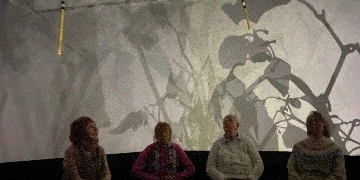 Four elderly people are sat down, experiencing an exhibition where chilli leaves are projected onto the walls.