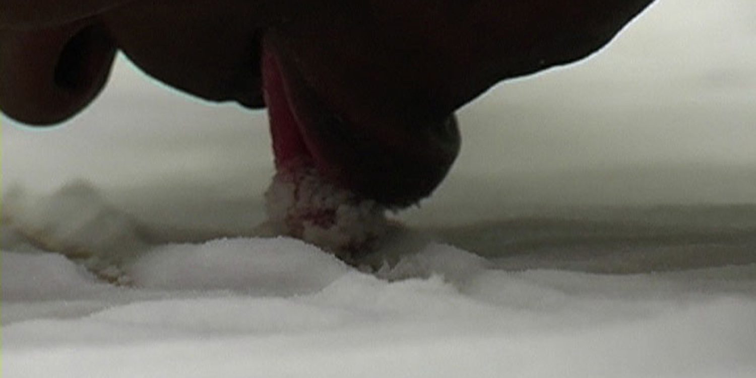 A still from a video shows the artist Aanawana Haloba with her face down, using her tongue to draw a map on a pile of salt.