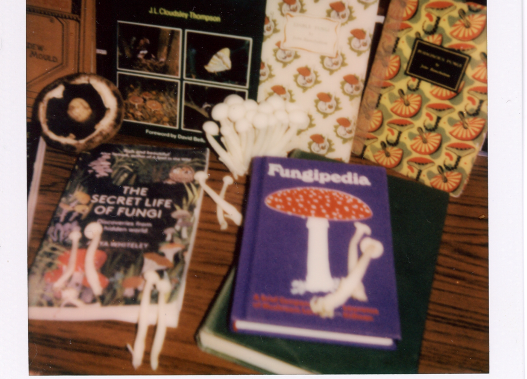 A polaroid of fungi books and mushrooms.